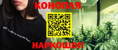 прущие крисы Шебекино