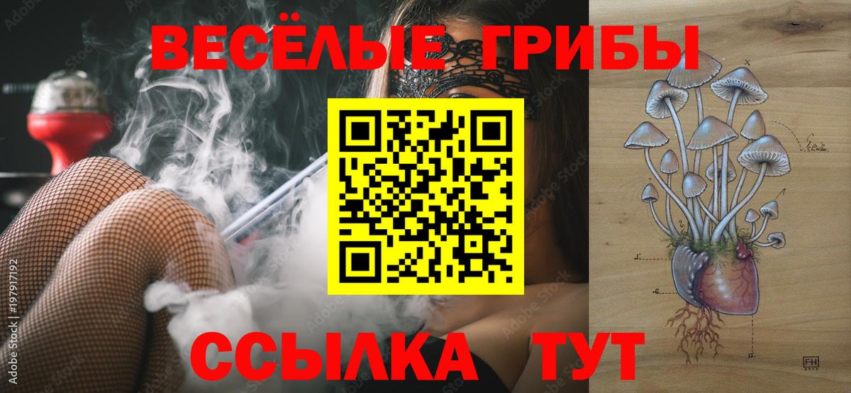 Галлюциногенные грибы Psilocybine cubensis  Галлюциногенные грибы Psilocybine cubensis  Вход с VPN  Братск 